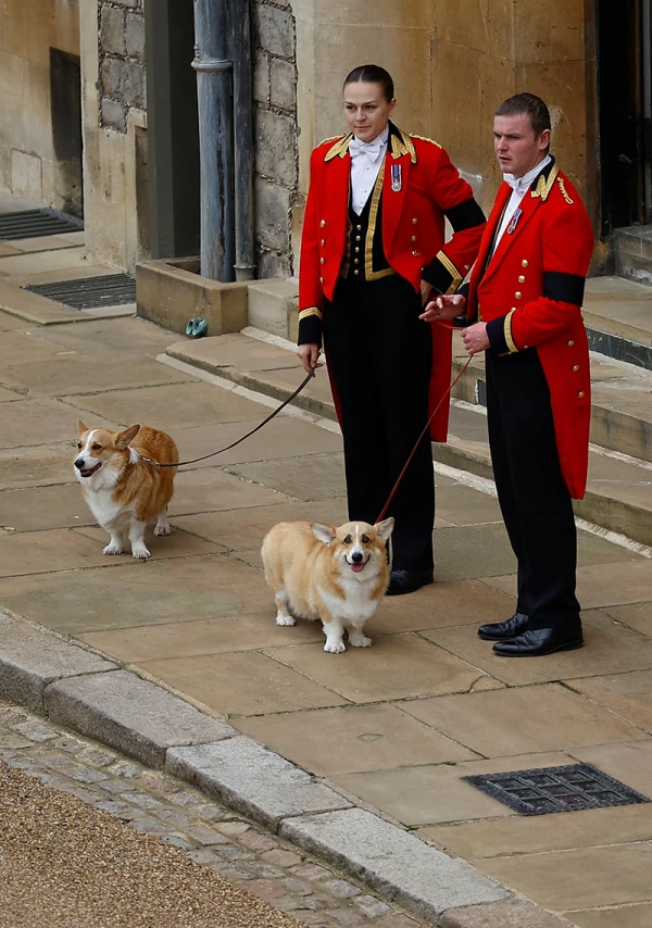 Sarah Ferguson quedó a cargo de los corgis de la reina Isabel II