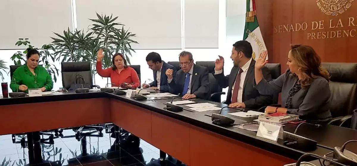 diputados periodo extraordinario