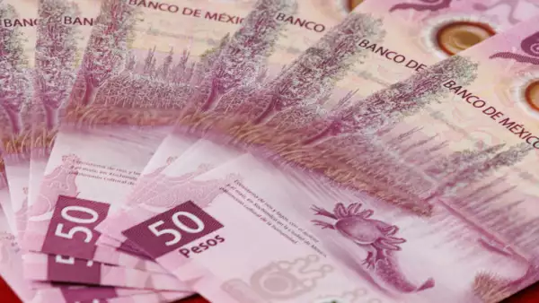¿Tienes uno guardado? Los mexicanos coleccionan 12.5 mdp en billetes del ajolote