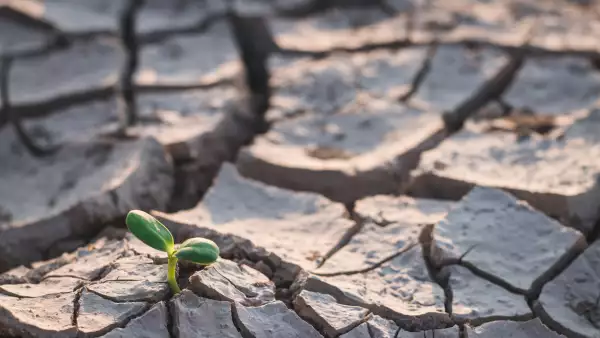 Calentamiento global