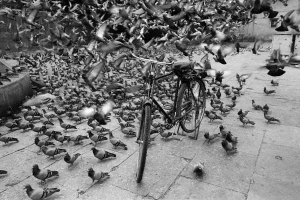 25_GI_Bicicleta, Jaipur, Rajastán, India_1999.jpg