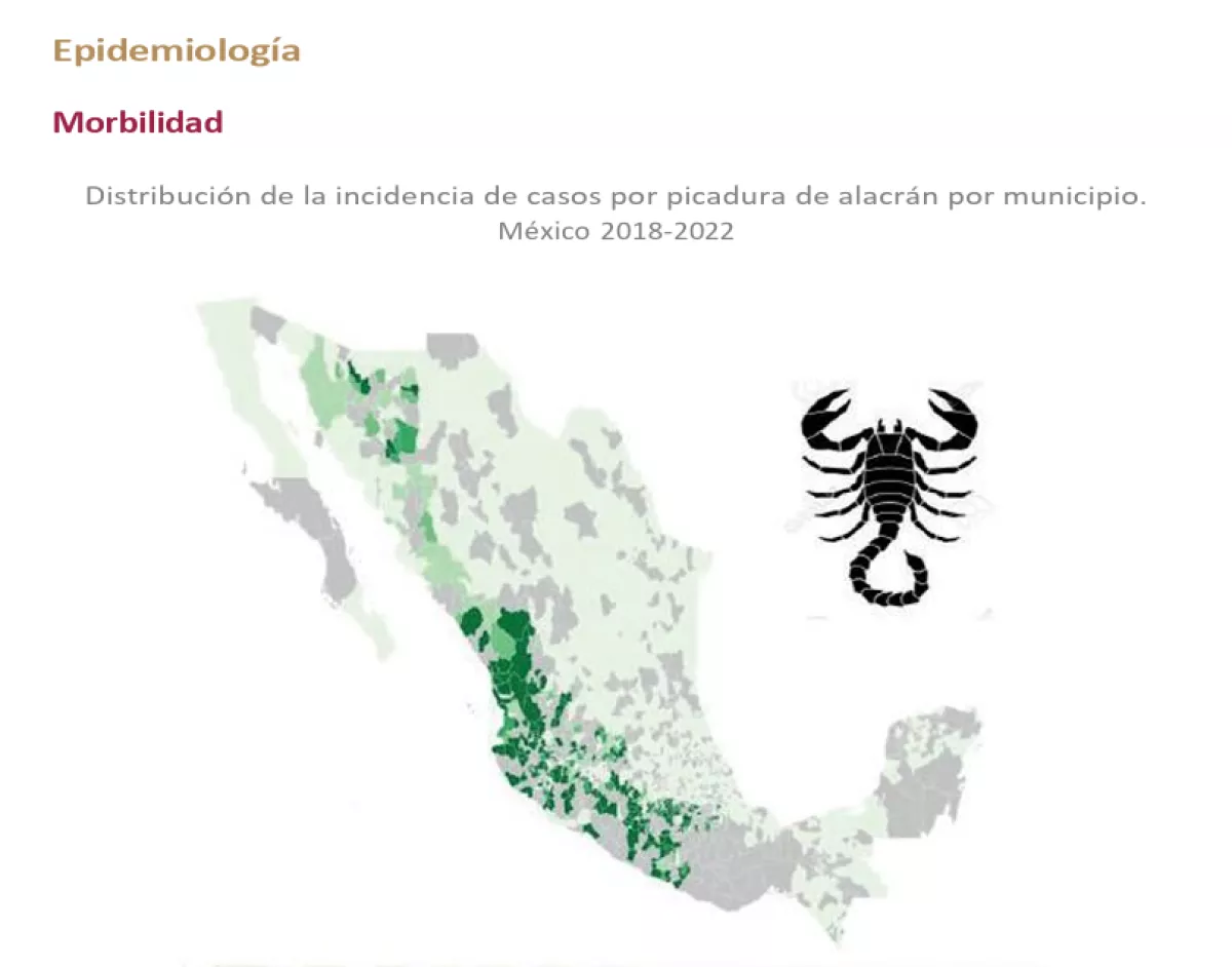 picaduras de alacran.png