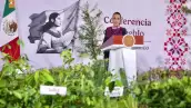 jornada-nacional-reforestacion