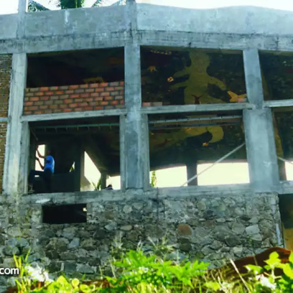 Este es el bungalow que Olmedo adapato como estudio Diego Rivera.