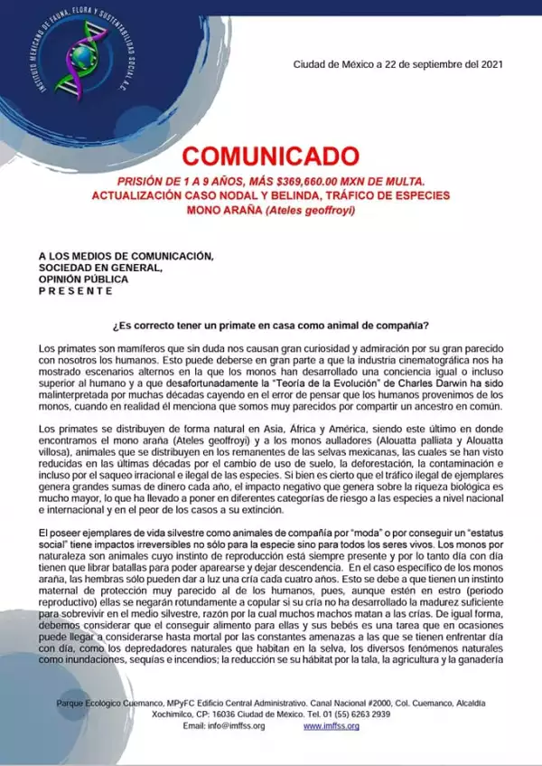 comunicado