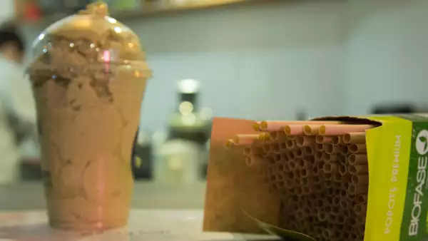 Vasos y popotes