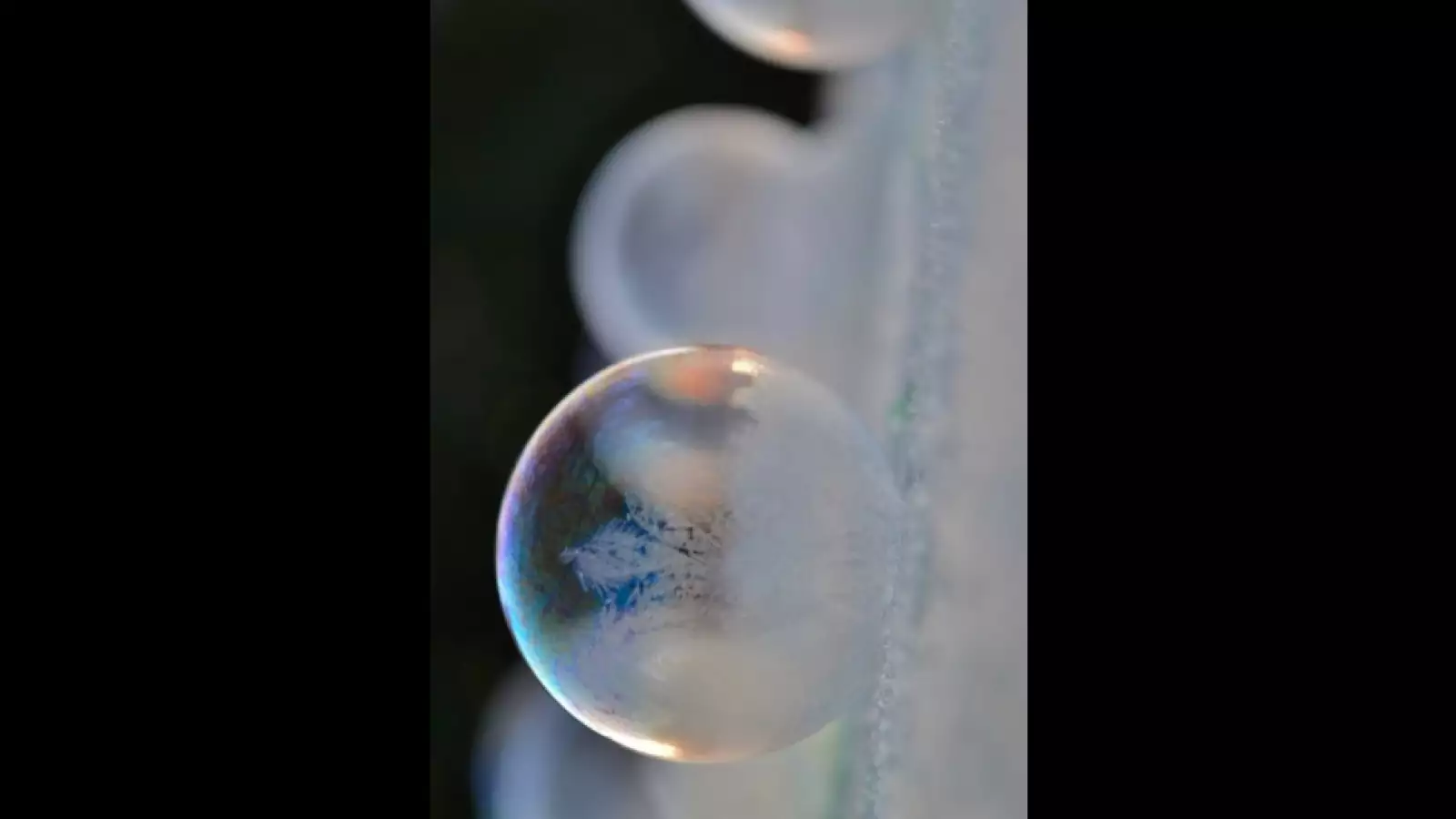 burbujas congeladas EU 11