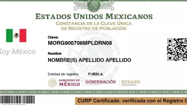 La entrega de tarjetas Bienestar de la beca Benito Juárez comienza en noviembre. Para recogerla, es necesario que la CURP cumpla con un requisito indispensable. 