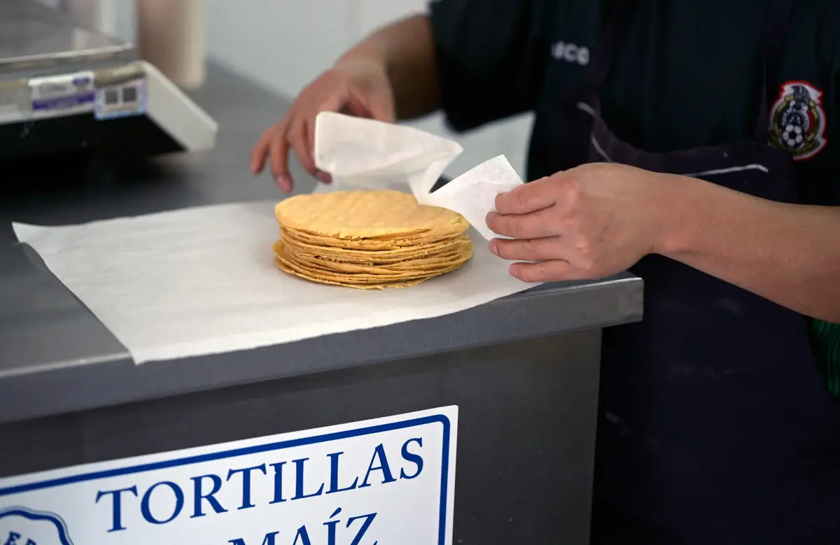 Tortilla