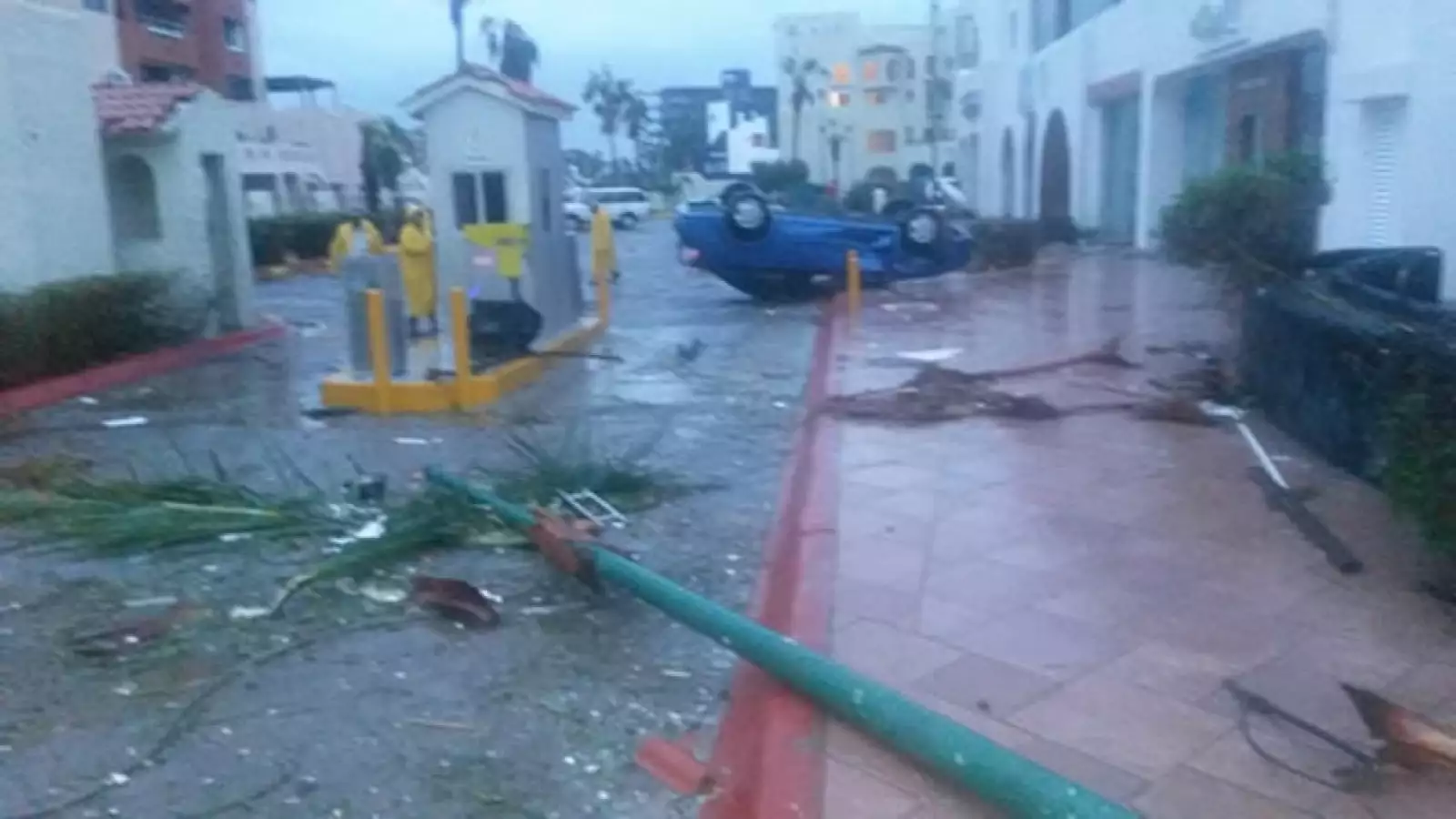 Cabo San Lucas Odile