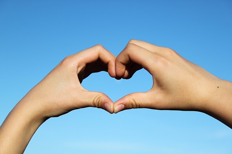 Entre el amor y la política