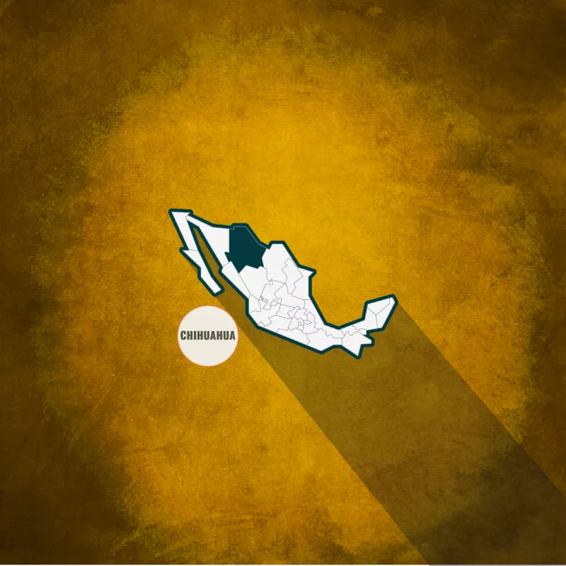 Chihuahua Alejandro Gutiérrez libre