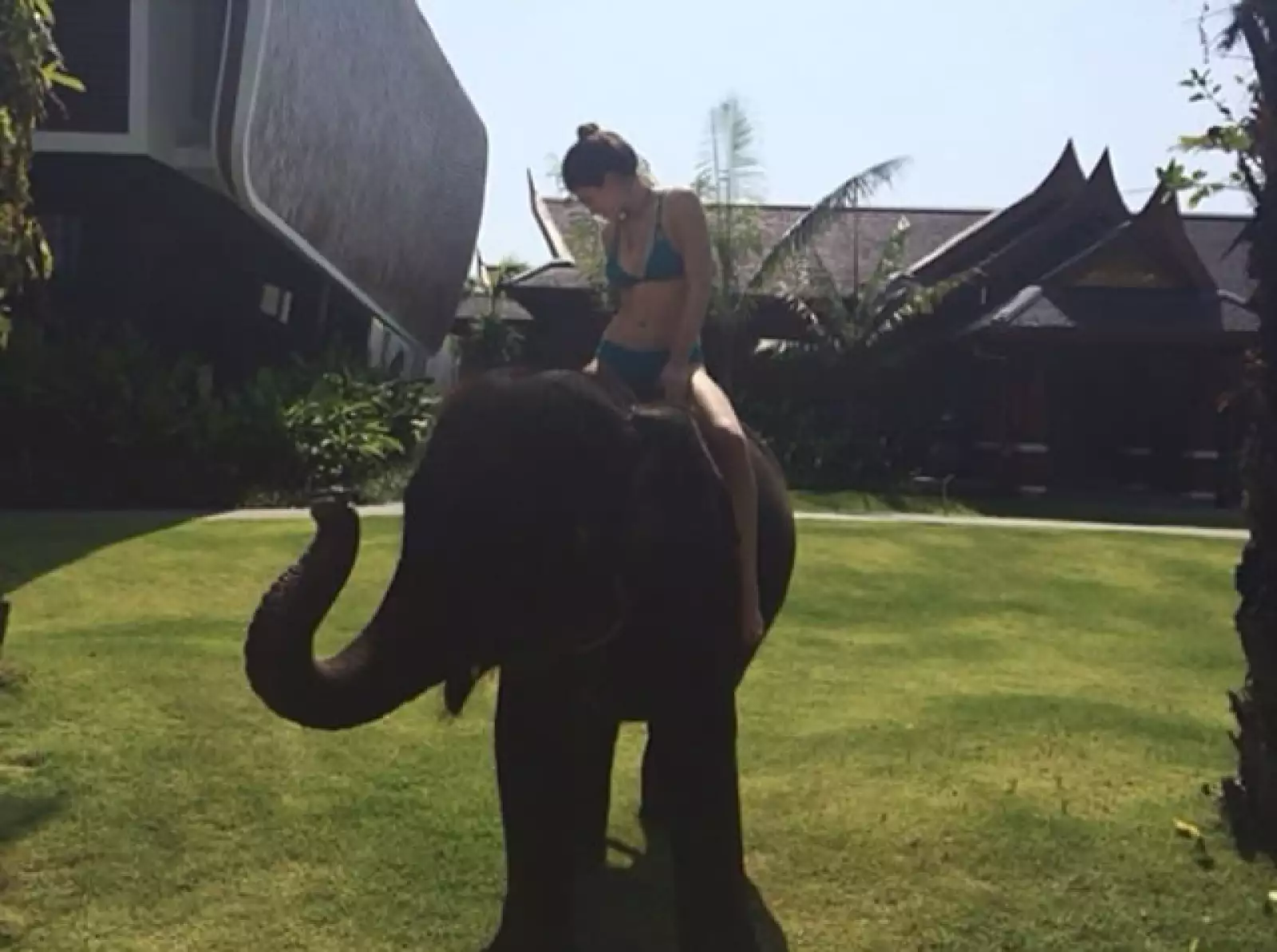 Ayer Kylie compartió esta tierna y a la vez impresionante iamgen.