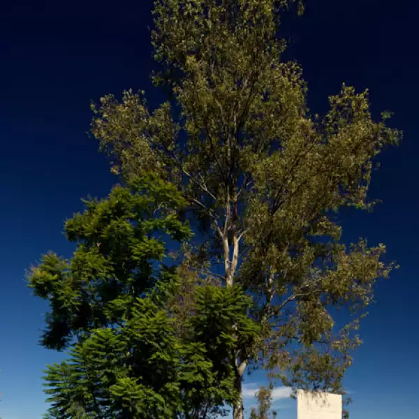 BOSQUES VALLARTA RESIDENCIAL