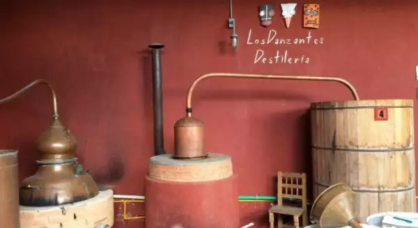 Mezcal artesanal Los Danzantes Coyote 25 aniversario