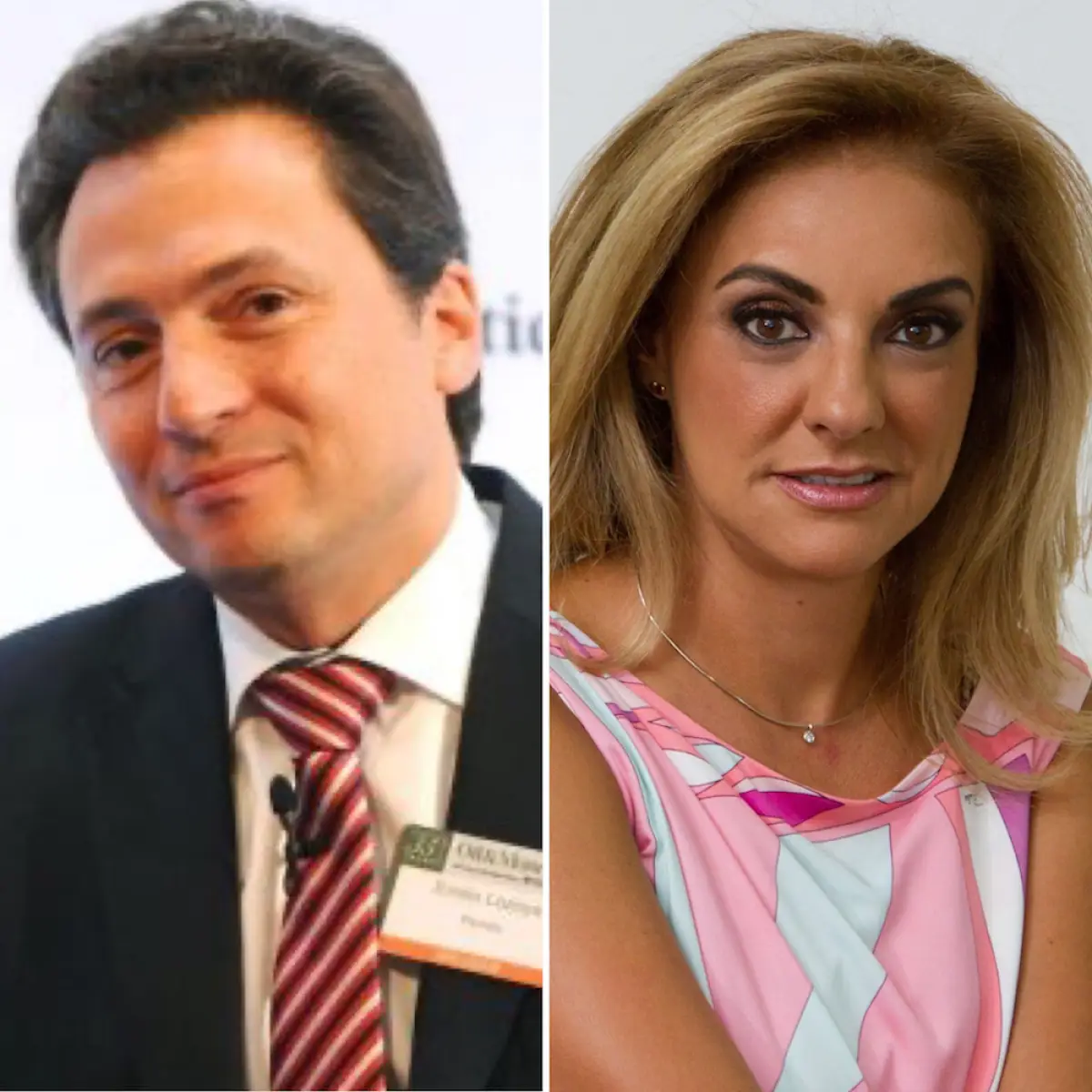 emilio-lozoya-lourdes-mendoza.jpg