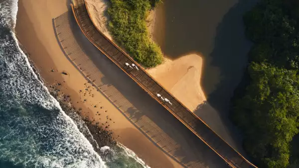 Foto aérea de un camino frente al mar de Nayarit con caballos blancos caminando 