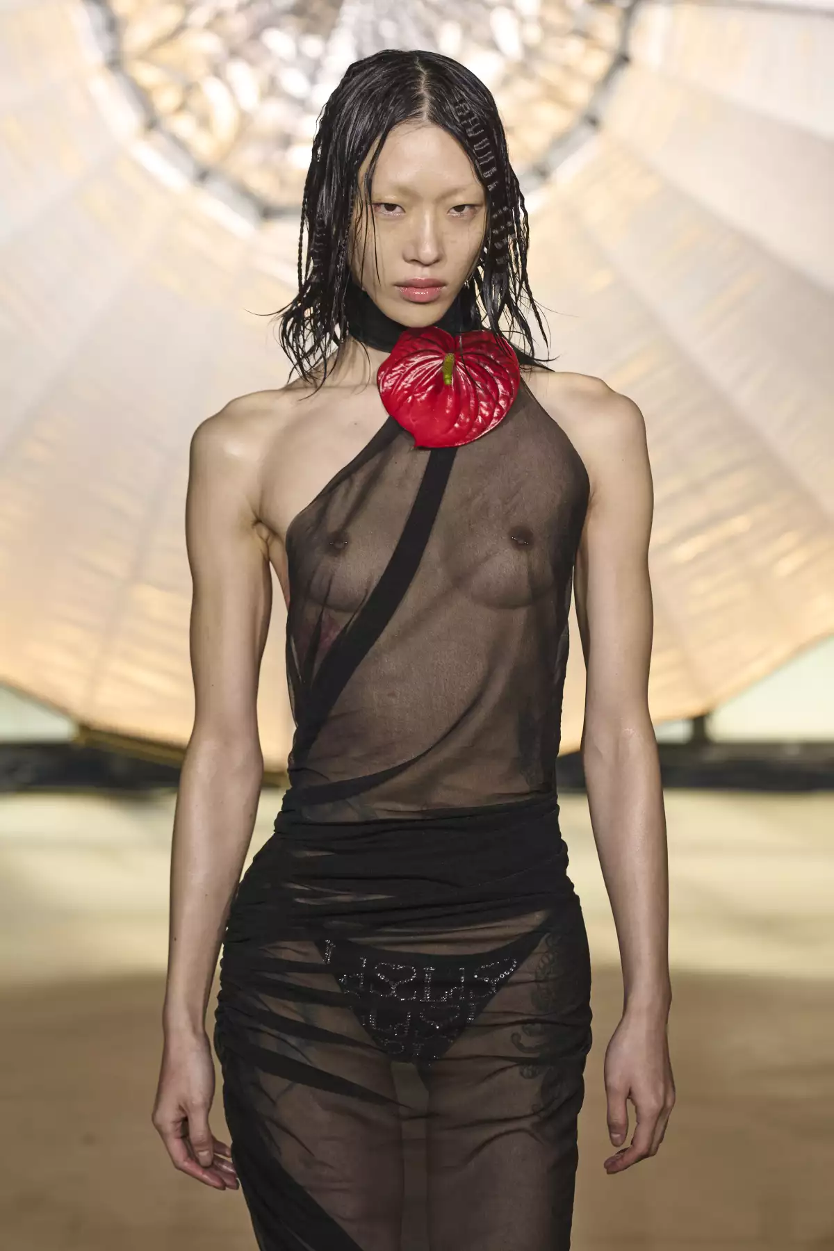 anturios saint sernin