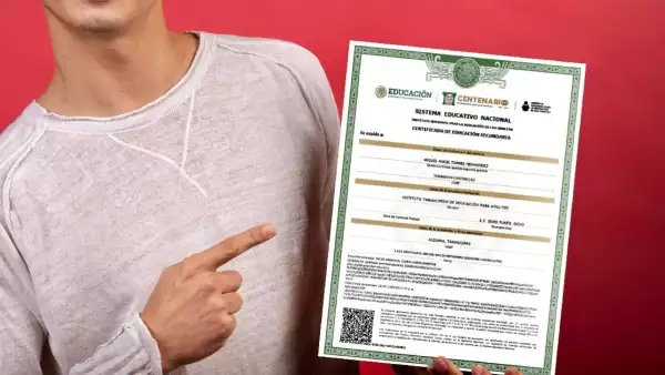 Cómo descargar el certificado de la SEP de primaria y secundaria en CDMX 