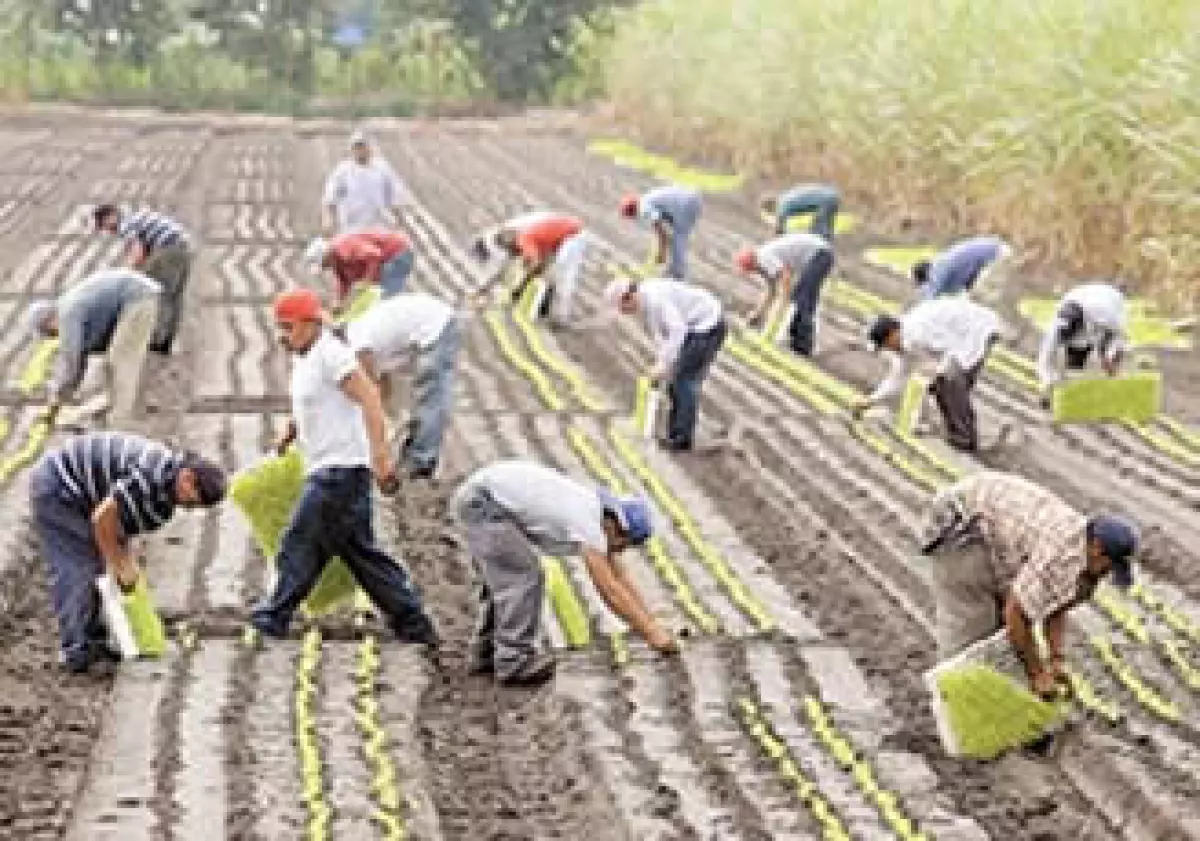 En 2008 la empresa fue acusada de contratar a inmigrantes ilegales para reducir los sueldos. (Foto: AP)