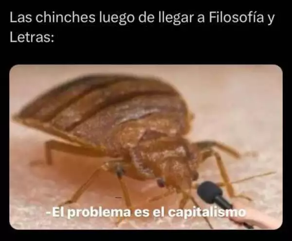 F7sZtJiWcAAnaPX.jpeg