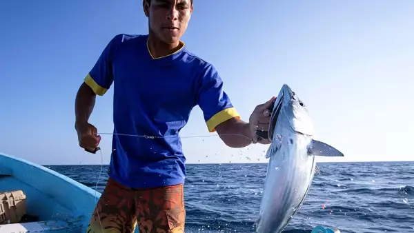 oceana norma de trazabilidad.jpg