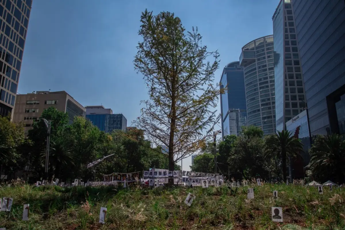 ahuehuete reforma 