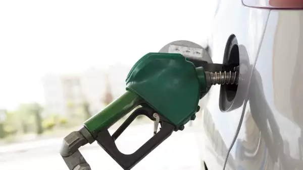 Conoce los precios