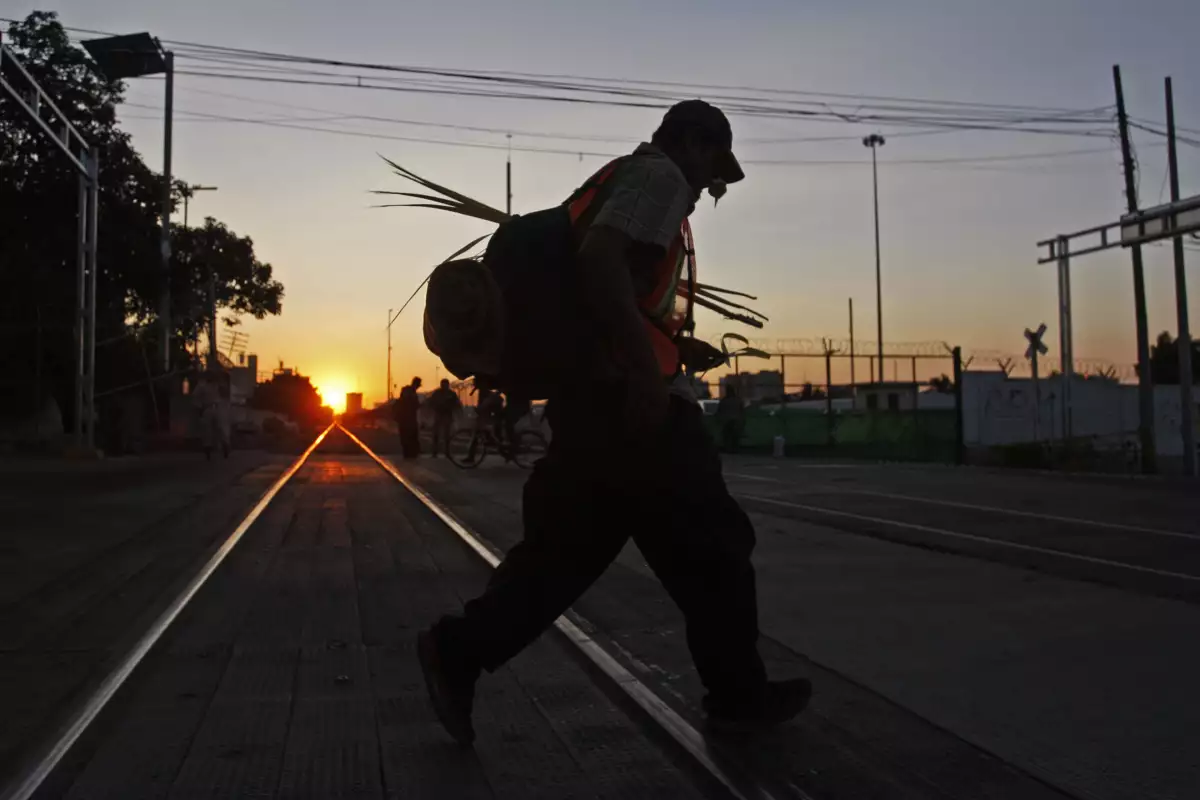 Migrantes