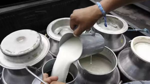 Producci�n Leche