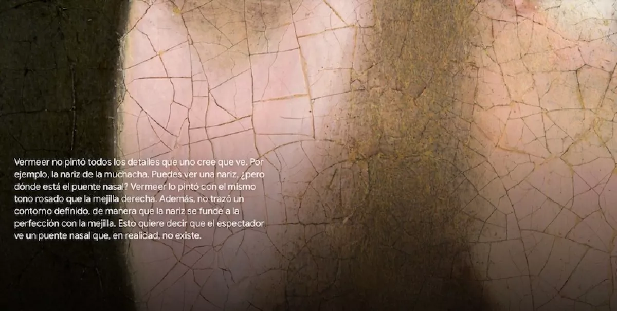 vermeer-museo-virtual-google