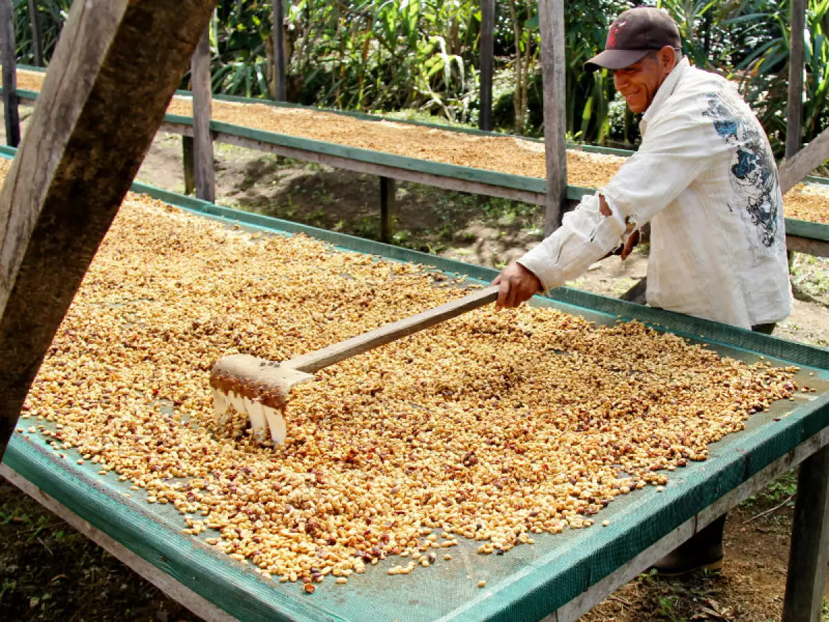 trabajador de Centroamérica