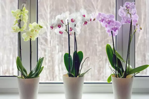 4 ideas para regalar a tu mamá este 10 de mayo