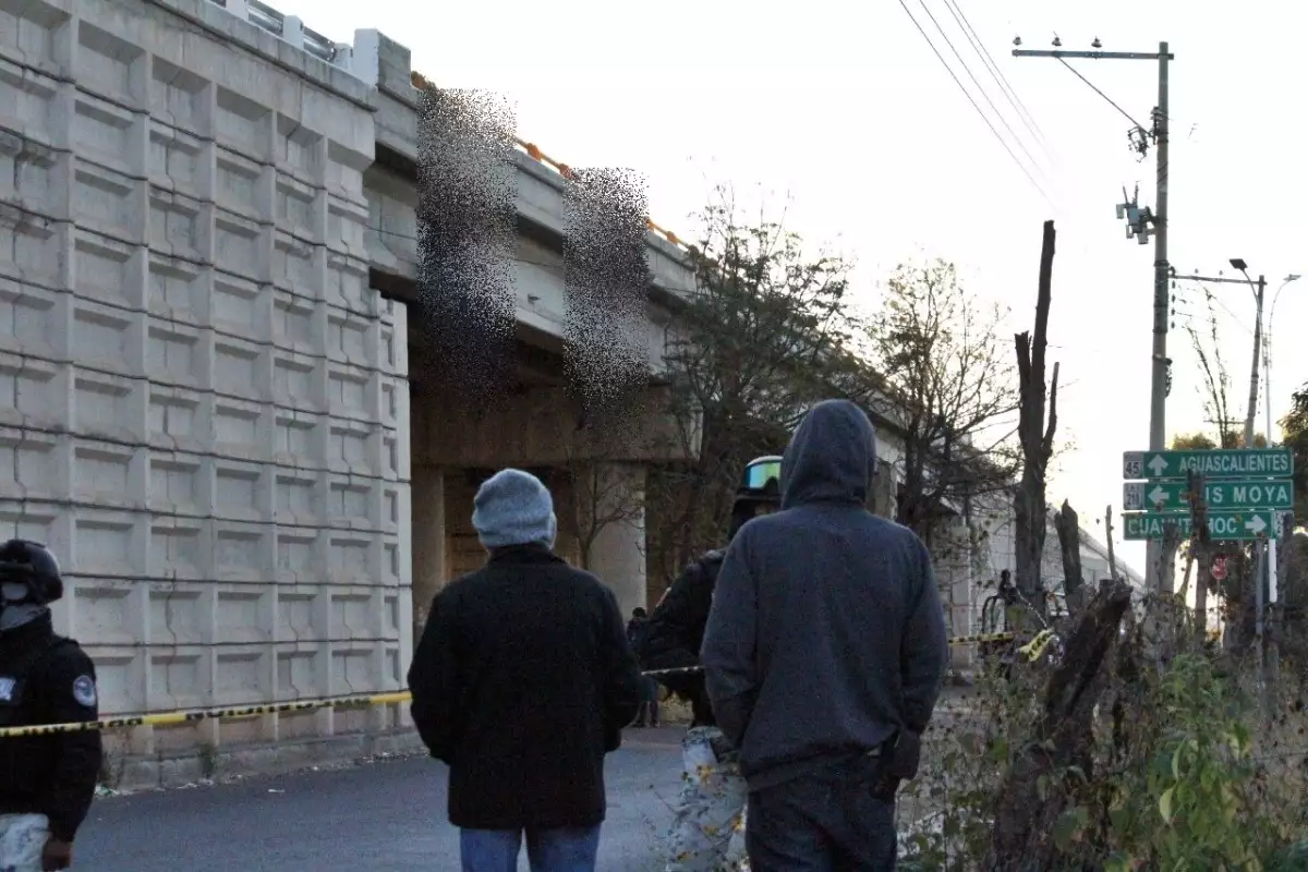 Zacatecas cuerpos puente