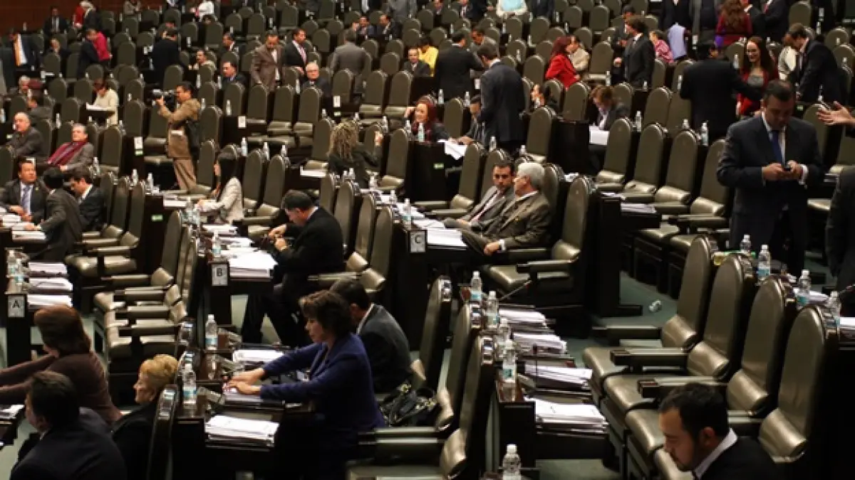 cámara de diputados