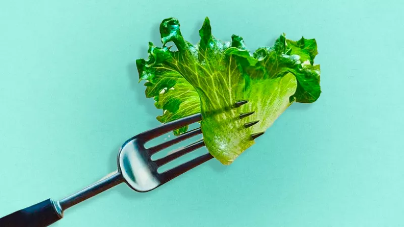 Collage de un tenedor con una lechuga