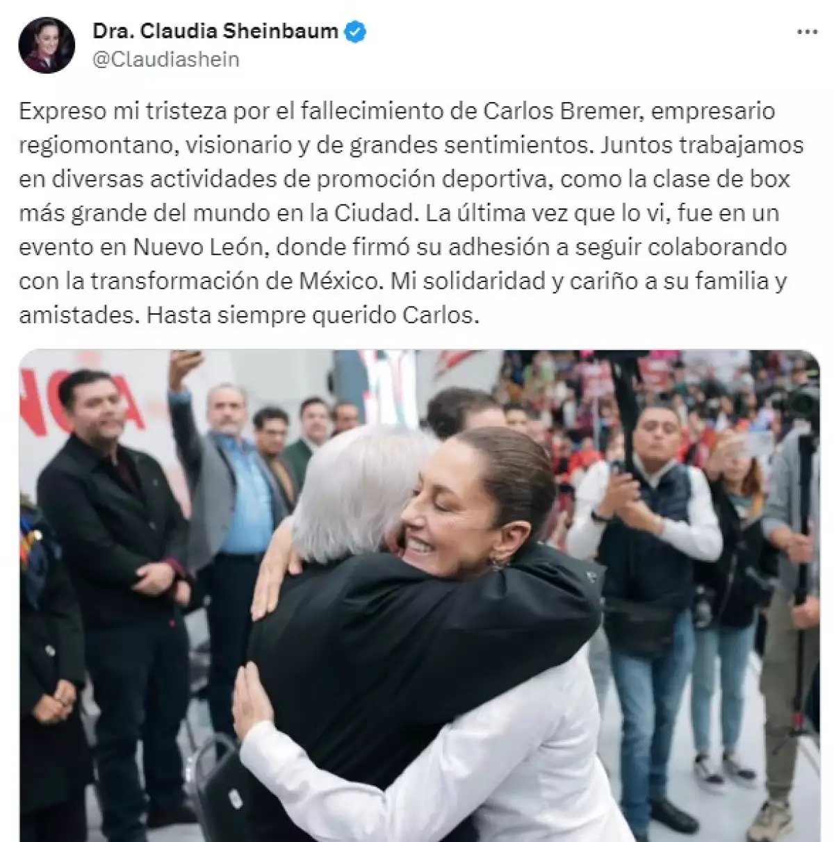claudia-sheinbaun-carlos-bremer