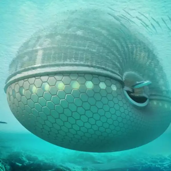 arca ecológica gal07