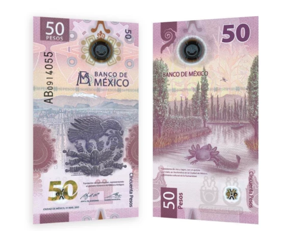 And the most beautiful banknotes of 2022 are... 50 pesos bill-International Bank Note Society.png