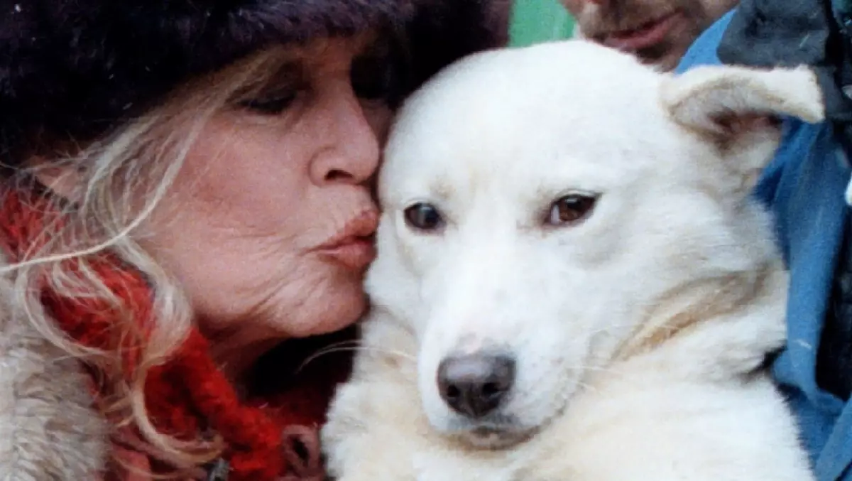 La actriz Brigitte Bardot será enterrada junto al mar en la Costa Azul