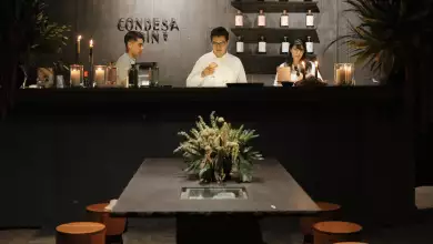 Condesa Gin 