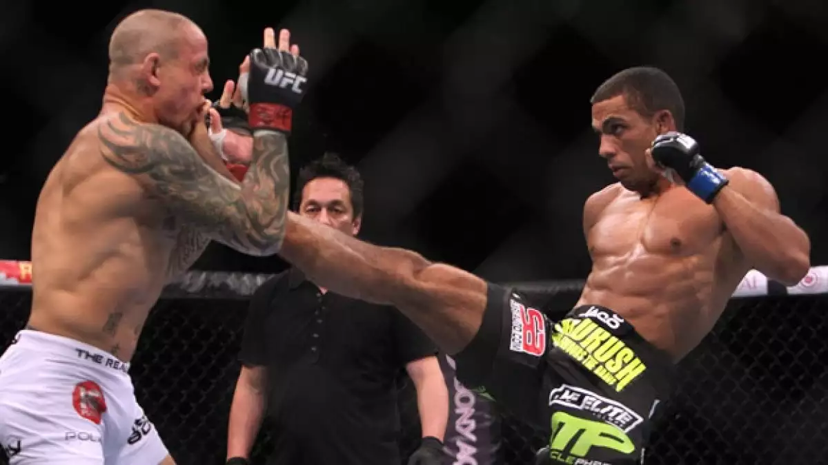 UFC pelea