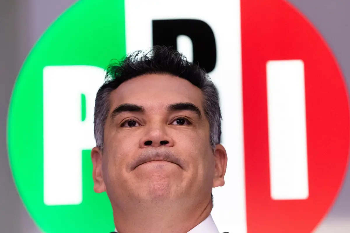(Obligatorio)
