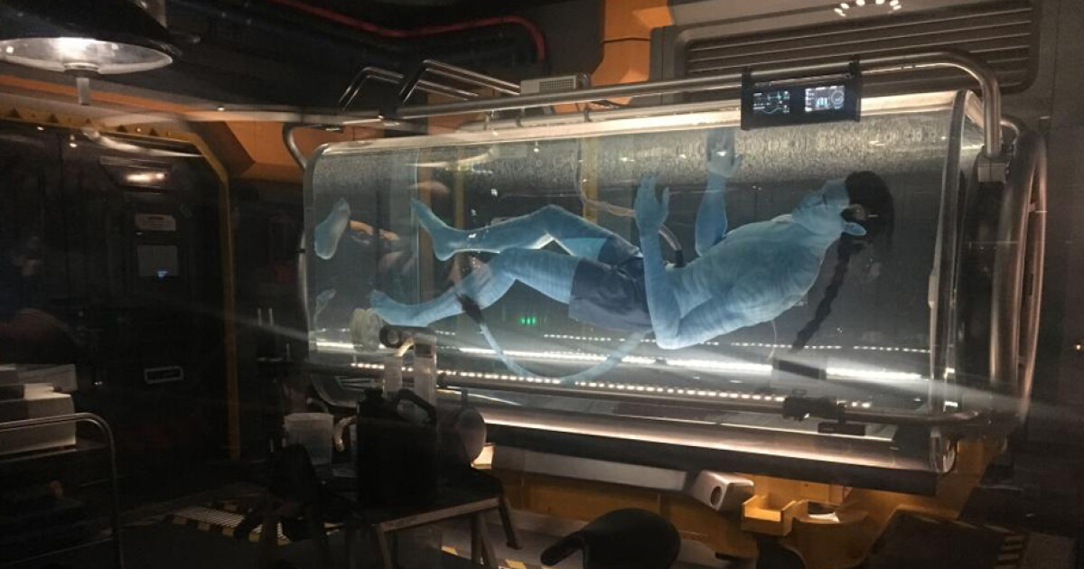 Pandora El Nuevo Mundo De Avatar En Walt Disney World