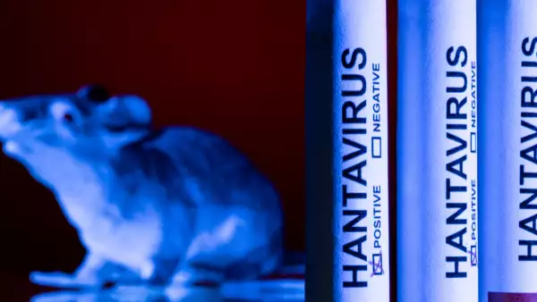 casos-hantavirus_mundo.jpg