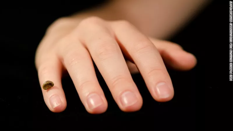 finger bone hueso neandertales