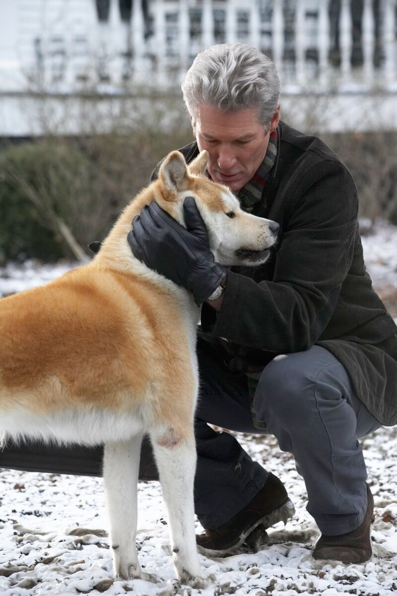 Hachi: A Dog's Tale