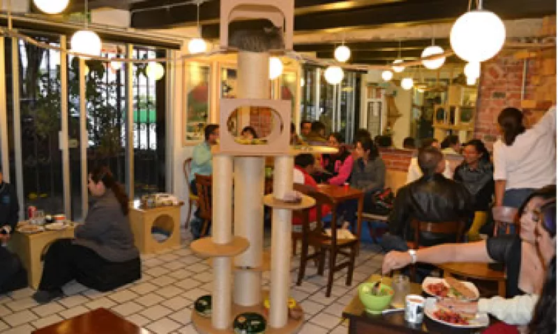 La Gatería cuenta con una tienda con accesorios para gatos. (Foto: Cortesía Lizbeth Padilla )