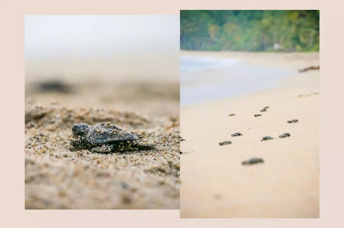 Life and Style Riviera Nayarit 1.jpg