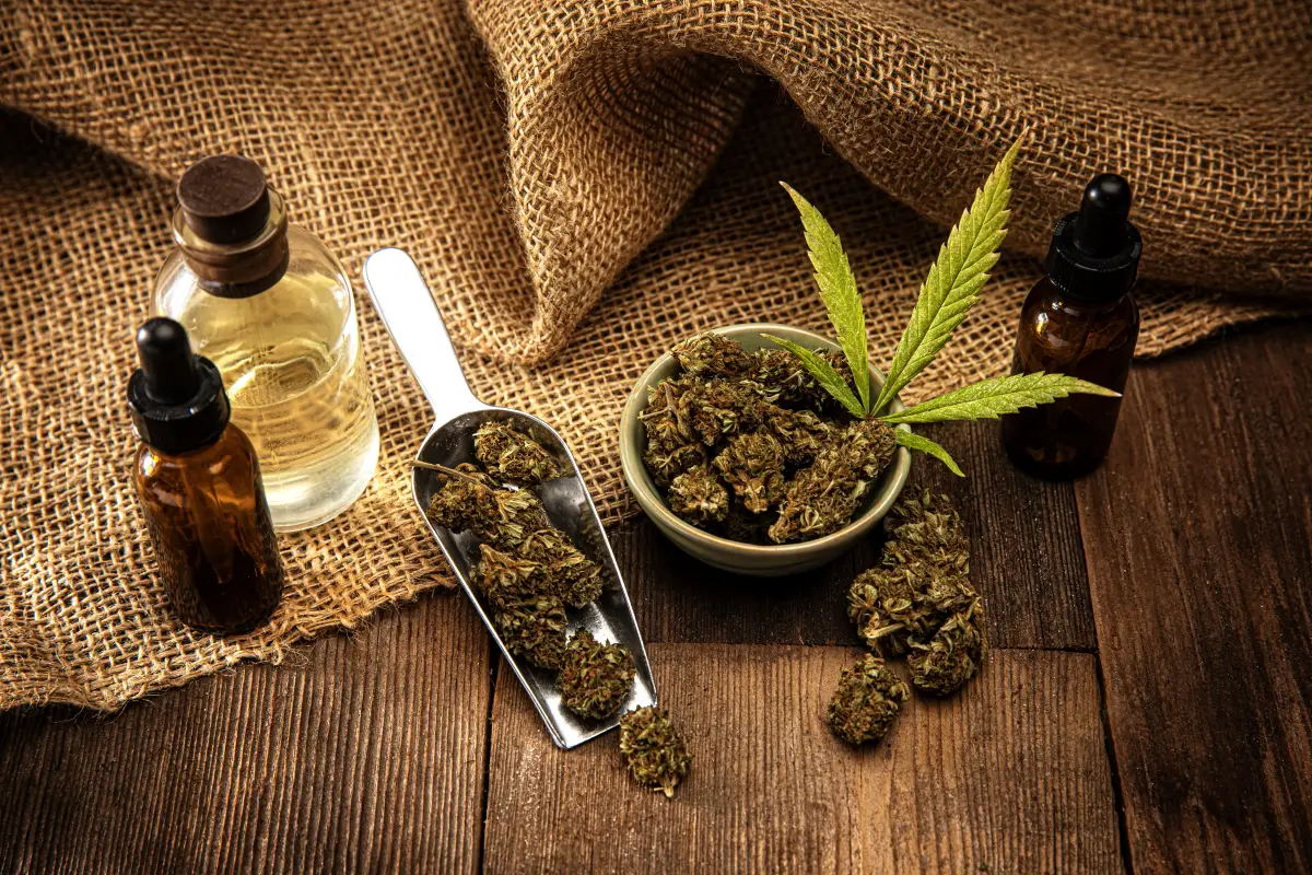 Descubren dos compuestos de la marihuana para frenar infección por COVID-19